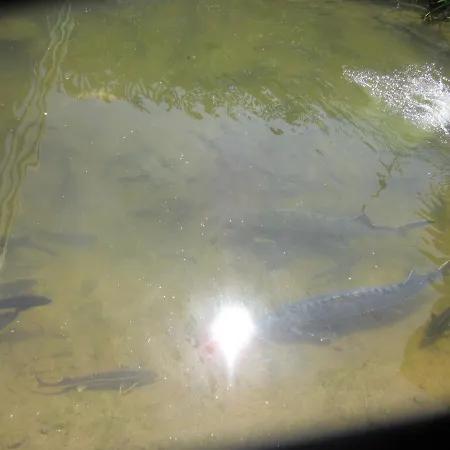 Markus Nitsch Апартаменты *